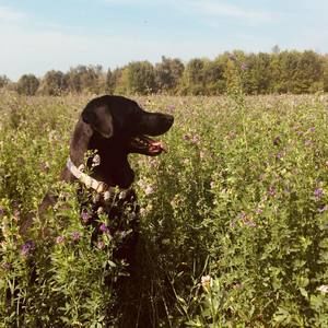 Meet your Posher, Carla